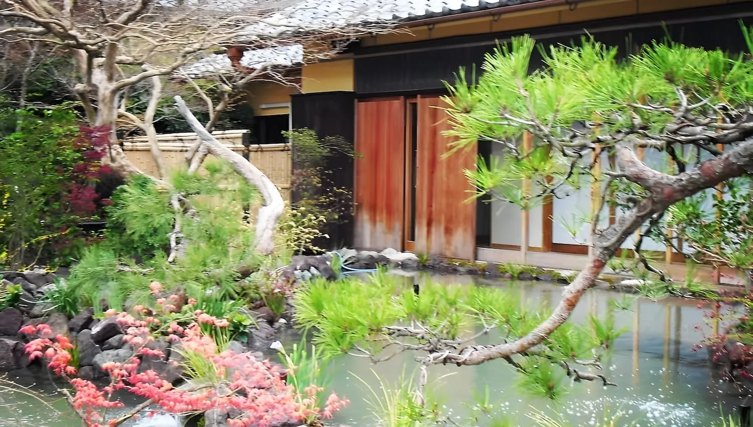 庭の風景2