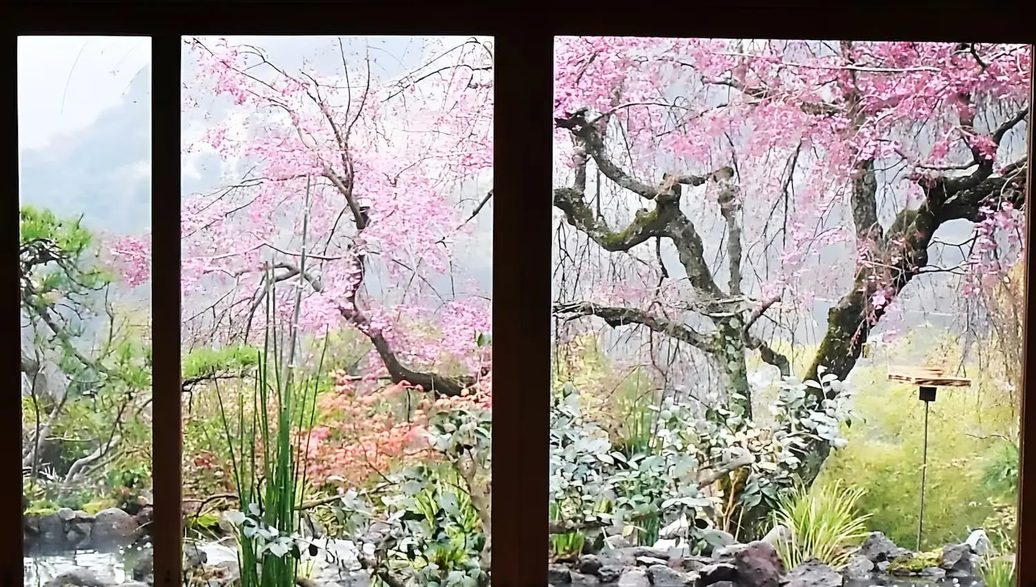 庭の風景3